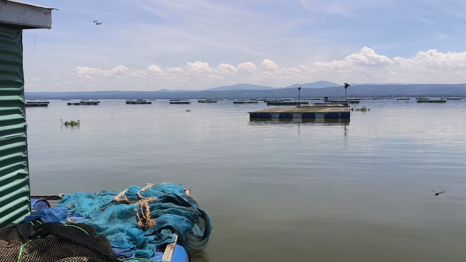 Rows of fish cages on the calm water of Lake Victoria at Dunga Beach, with hills in the distance