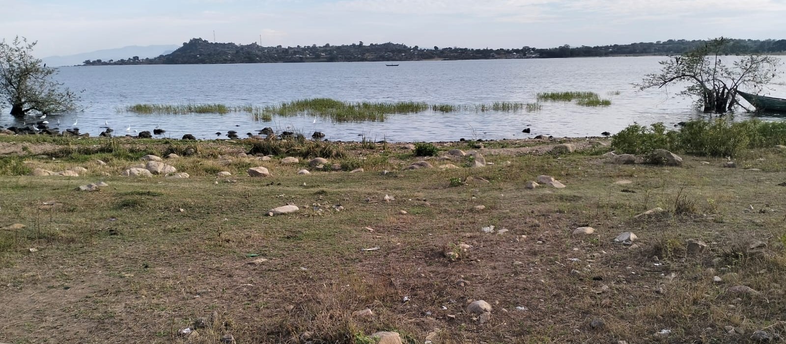 A fisher's boat on Lake Victoria near the Matoso site shoreline, birds along the rocky shore