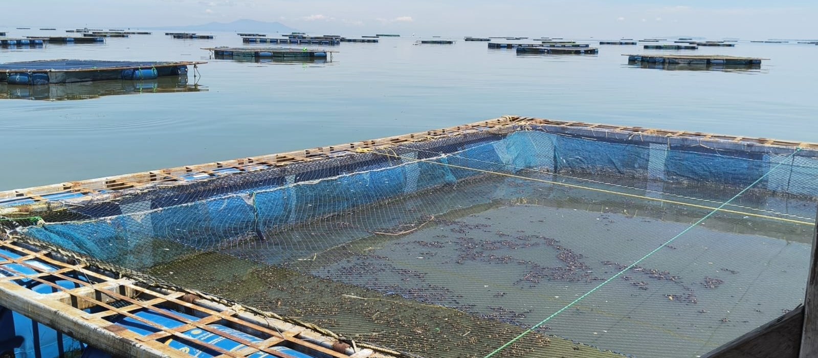 Close view of blue fishing net and cage netting resting on calm water at Dunga Beach